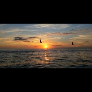 Meet your Posher, Meaghan